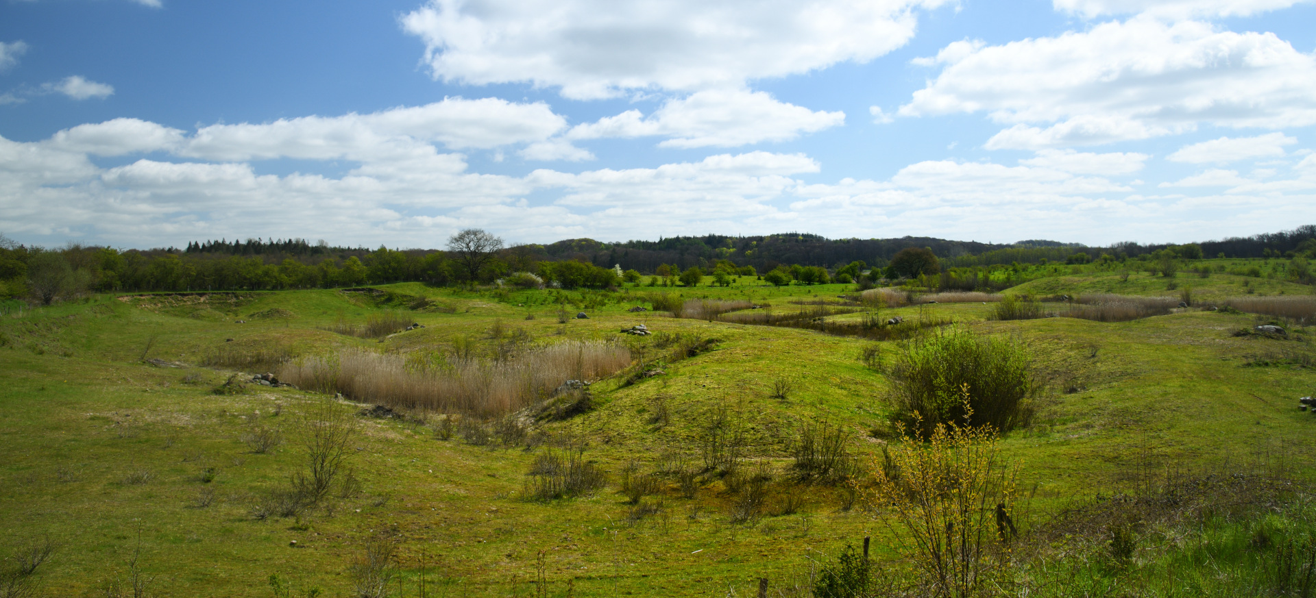 Obere Treenelandschaft